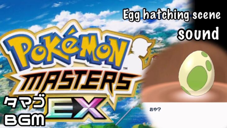 #Pokémon  Egg hatching scene sound -タマゴ孵化シーン- BGM  #ポケマスEX version. #ポケモンマスターズ #pokemonmastersex