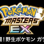 【ポケモンマスターズEX】戦闘！野生ポケモン ガラル地方 BGM アレンジ Pokémon Music