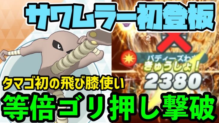 【ポケマス】アタッカーしか存在しないサワムラーをなんとか活躍させたい！